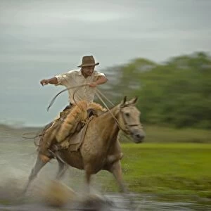 Traditional Pantanal Cowboys