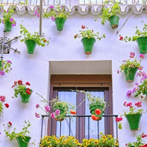 Detail of a traditional Patio of Cordoba, a courtyard full of flowers and freshness. A UNESCO Intangible Cultural Heritage of Humanity. Andalucia, Spain