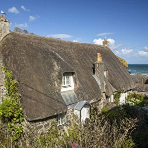 Traditional thatched cottage, Cadgewith Cove, Cornwall, England, UK