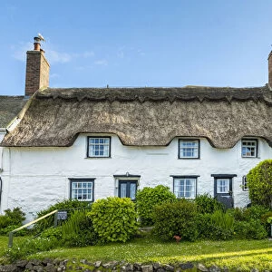 Traditional thatched cottage, Coverack, Cornwall, England, UK