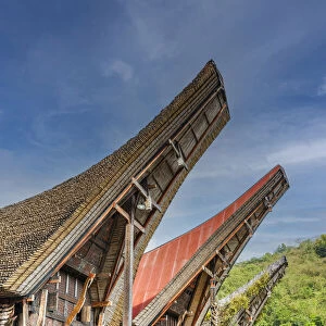 Traditional Toraja houses in Rantepao, Tana Toraja, Sulawesi, Indonesia