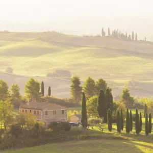 Traditional Tuscan farhmouse set amongst cypress trees and rolling hills, Val d'Orcia at dawn, San Quirico d'Orcia, Tuscany, Italy