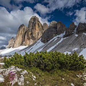 Tre Cime di Lavaredo or Drei Zinnen peaks, Dolomites, Cadore, Veneto, Italy