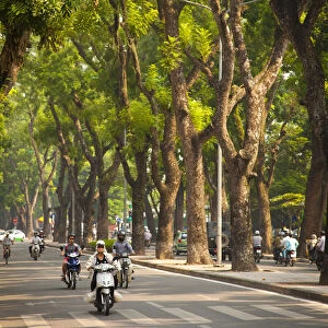 Tree lined boulevard in the Ba Dinh district, Hanoi, Vietnam