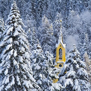 Trees with pristine snow and yellow church. St Moritz, Engadine, Switzerland