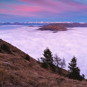Trees at Sunset from Mount Guglielmo above the Clouds, Brescia province, Lombardy