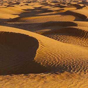 Tunisia, Ksour Area, Ksar Ghilane, Grand Erg Oriental Desert, sand dunes