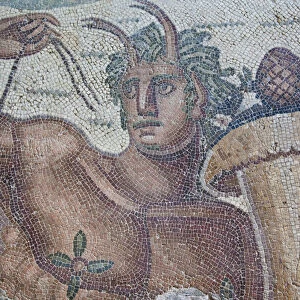 Tunisia, Tunis, Carthage, Byrsa Hill, Musee de Carthage, Roman-era mosaic detail