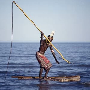 The Turkana spear-fish in the shallow waters of Lake Turkana