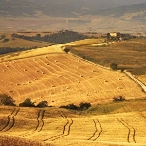 Tuscan Countryside, Pienza, Italy