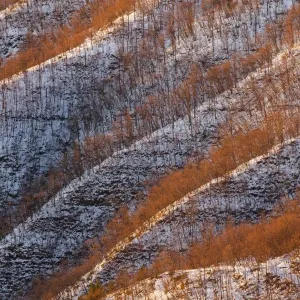 Tuscany Forests Print - Sunrise over San Paolo Tuscany Forests Print - Sunrise over San Paolo