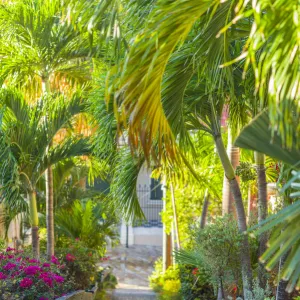 U. S. Virgin Islands, St. Thomas, Charlotte Amalie, The 99 Steps