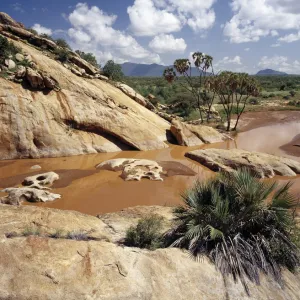 The Uaso Nyiru River ( a name adapted from the Msai name for it