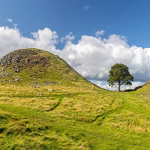 UK, England, Northumberland, Hexham, Henshaw, Hadrians Wall, Sycamore Gap