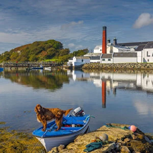 UK, Scotland, Argyll and Bute, Islay, Lagavulin Bay, Lagavulin Whisky Distillery