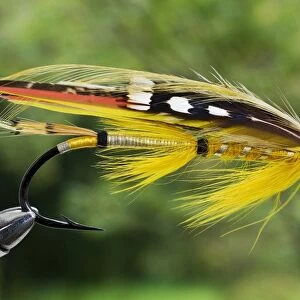 UK. A traditional salmon fishing fly