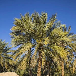 United Arab Emirates, Abu Dhabi, Al Ain, Hili, Hili oasis