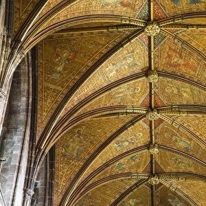 United Kingdom, England, Cheshire, Chester, Chester Cathedral ceiling