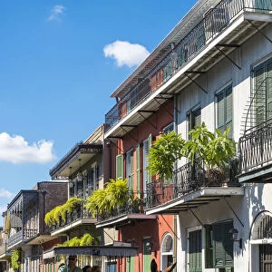 United States, Louisiana, New Orleans, French Quarter