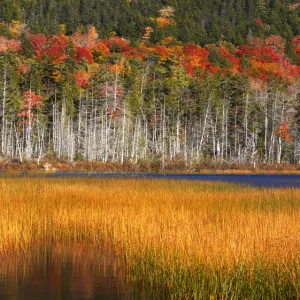 Upper Hadlock Pond in Autumn, Acadia National Park, Maine, USA