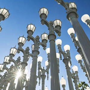 Urban Light by Chris Burden, Los Angeles County Museum of Art (LACMA), Los Angeles, California, USA