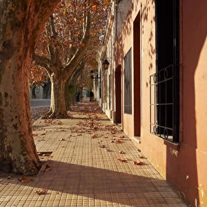 Uruguay, Colonia Department, Colonia del Sacramento, View of the historic quarter
