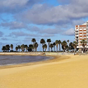 Uruguay, Montevideo, View of the Pocitos Beach on the River Plate