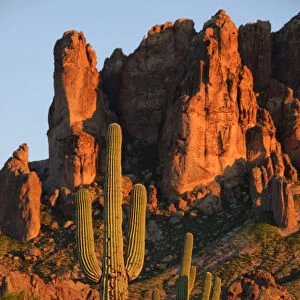 USA, Arizona, Southwest, Apache Junction, Lost Dutchman State Park, Superstition mountains