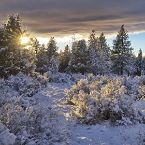 USA, Bend, Oregon, High desert in winter snow