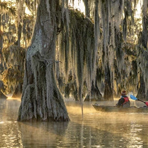 USA, Deep South, Louisiana, St. Martin Parish, Lake Martin, people in kayak at sunrise