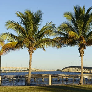 USA, Florida, Charlotte County, Punta Gorda, bridge over Peace river