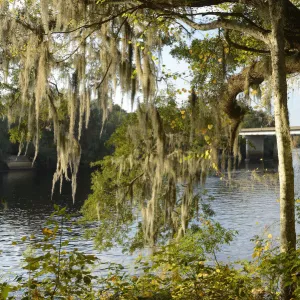 USA, Florida, Dixie County, Suwannee River