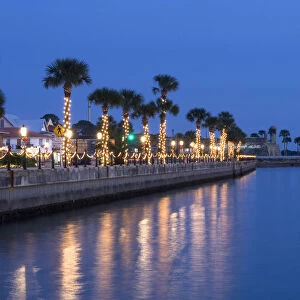USA, Florida, Saint Augustine, Nights of Lights Christmas Celebration, Palm