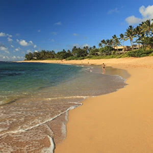 USA, Hawaii, Oahu, North Shore, Sunset Beach