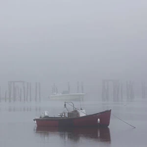USA, Maine, Cape Neddick, fishing boat in fog