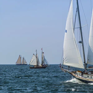 USA, Massachusetts, Cape Ann, Gloucester, Americas Oldest Seaport, Annual Schooner