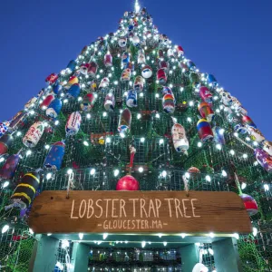 USA, New England, Cape Ann, Massachusetts, Gloucester, Christmas Tree made of lobster