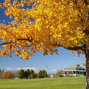 USA, New England, Indian Summer, East, New Hampshire, golf course in fall near Sugar