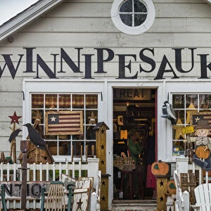 USA, New Hampshire, Lake Winnipesaukee Region, Moultonborough, antique shop
