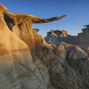 USA, New Mexico, Bisti Wilderness area, Bisti badlands, Wings of Stone