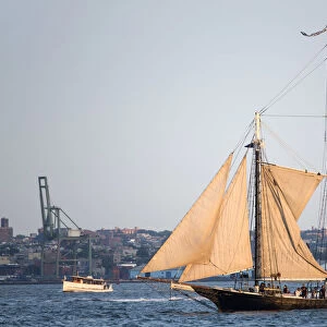 USA, New York, Manhattan, Battery, Hudson, Schooner sailing on the Hudson