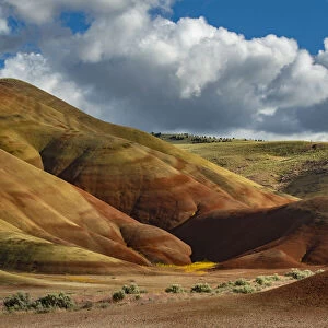 USA, Pacific Northwest, Oregon, Wheeler County, John Day Fossil Beds, National Monument