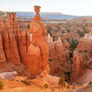 USA, Southwest, Colorado Plateau, Utah, Bryce Canyon, National Park, UNESCO