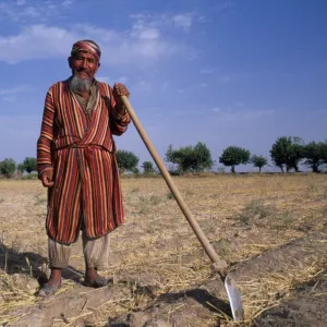 Uzbek man with hoe in a field