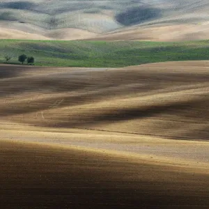 Val d Orcia Luglio Tuscany, Italy Print