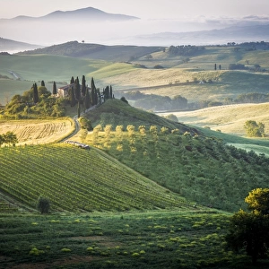 Val d Orcia, Tuscany, Italy. A lonely farmhouse with cypress and olive trees, rolling