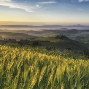 Val d'Orcia Print - Tuscany Landscape Val d'Orcia Print - Tuscany Landscape