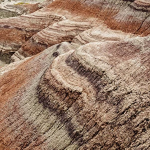 Valle Pintado, Painted Valley, Ischigualasto Provincial Park, UNESCO World Heritage Site