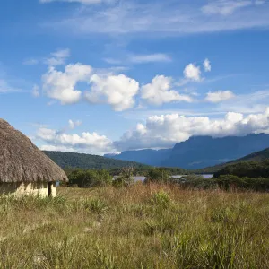 Venezuela, Guayana, Canaima National Park, Thatched hut