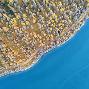 vertical shot of colorful trees along the lake of Livigno, municipality of Livigno